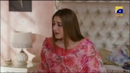 Saaya 2 - 31st May 2022